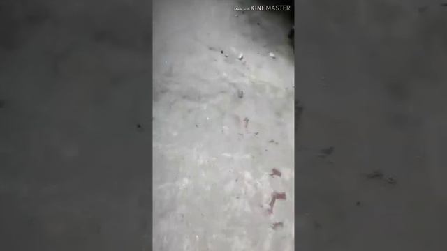 Поркур в лагире много где нельзя было ходить смотреть онлайн
