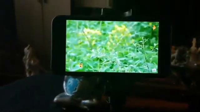 ПОЧЕМУ Я ОТКАЗЫВАЮ ТВ. МУДРОСТЬ ИНГИ ХОСРОЕВОЙ смотреть онлайн