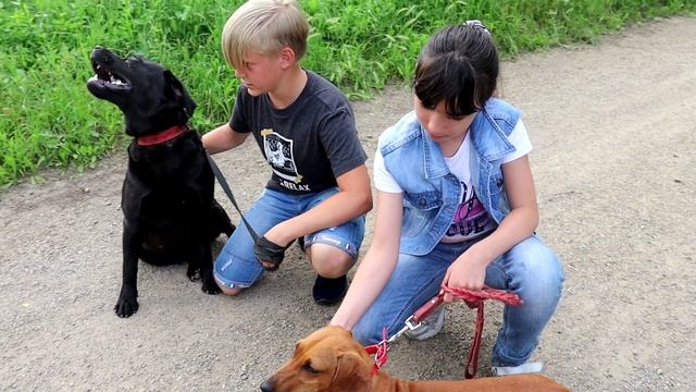 Обо всем - Егор Голубев смотреть онлайн