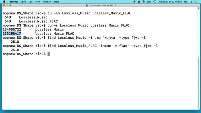 Comparing Apple Lossless (ALAC) vs FLAC CD Collection Storage Size смотреть онлайн