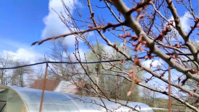 ВЛОГ/ДНИ ЖИЗНИ /И погода г... И самочувствие такое же / Заболела смотреть онлайн