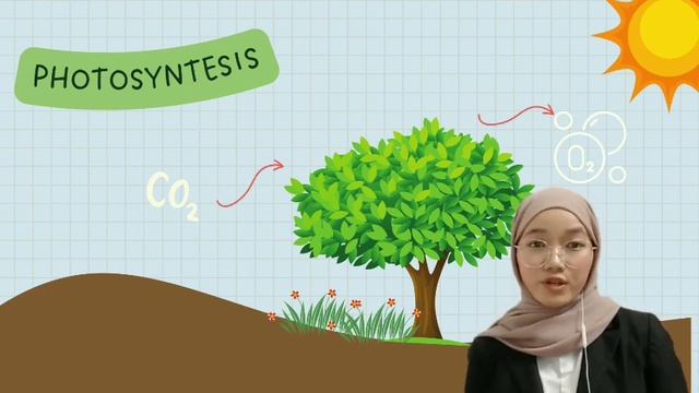 INFORMATIVE SPEECH : EFFECTS OF ILLEGAL LOGGING смотреть онлайн