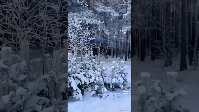 27 НОЯБРЯ ДЕНЬ МАТЕРИ В РОССИИ смотреть онлайн