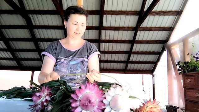 14 июля 2021г. ВЕС ОГУРЦА СТЕЛЛА сухоцветы