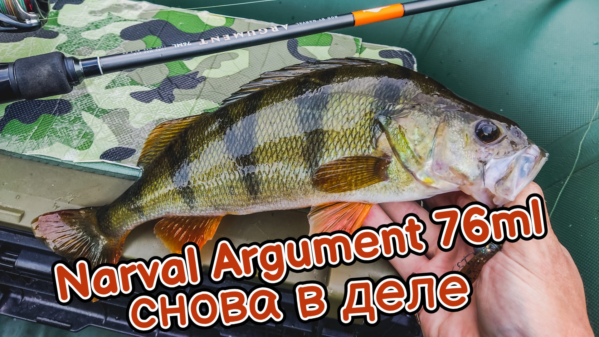 Narval Argument 76ml снова в деле | Хотел половить щуку, но пришлось ловить окуня | на сломе погоды смотреть онлайн