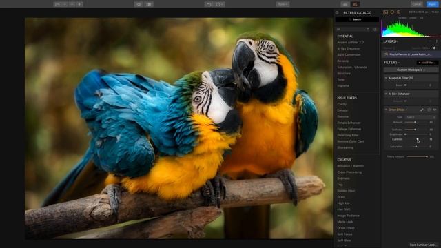 Orton Effect Filter with Luminar Flex смотреть онлайн