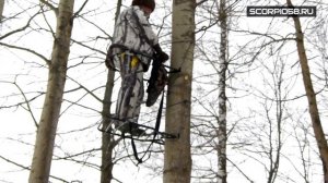 Подъем и спуск на тристенде Scorpio