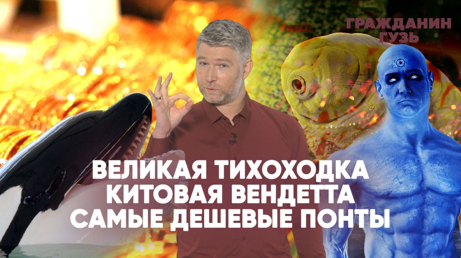Великая тихоходка | Китовая вендетта | Самые дешевые понты | Гражданин Гузь