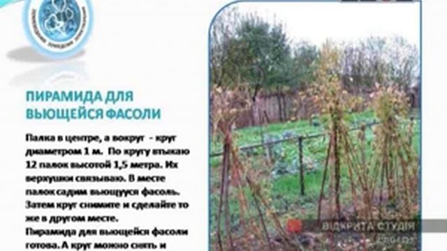 Органическое земледелие. Пятница, апреля 29, 2011 смотреть онлайн