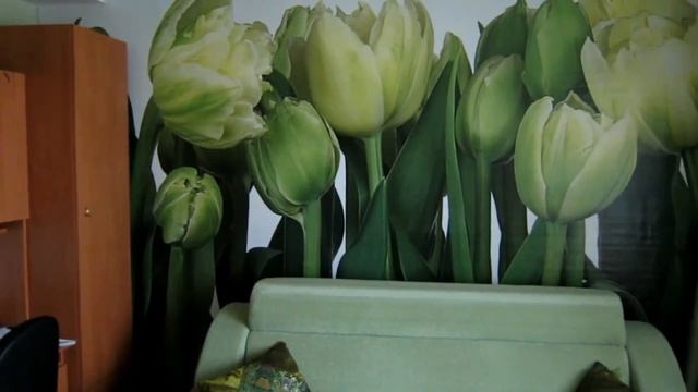 Фотообои тюльпаны зеленые смотреть онлайн
