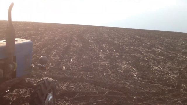 9 мая Первый сев 2014 (перма культура - смесь гороха усатогно и овса голозёрного)