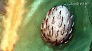 Дракон ВЕЛИКИЙ Смутьян из как приручить дракона