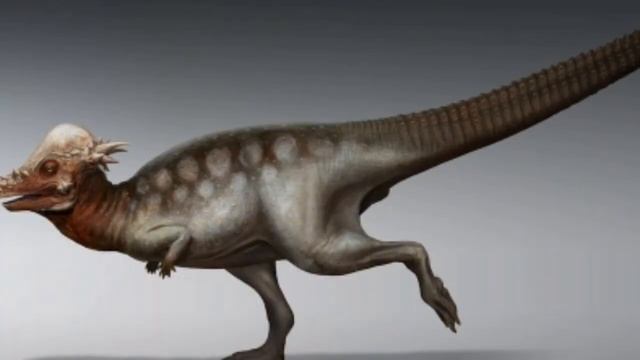 ПАХИЦЕФАЛОЗАВР | Толстоголовый ящер смотреть онлайн