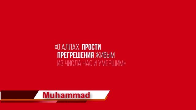100K Muhammad 1.mp4 смотреть онлайн