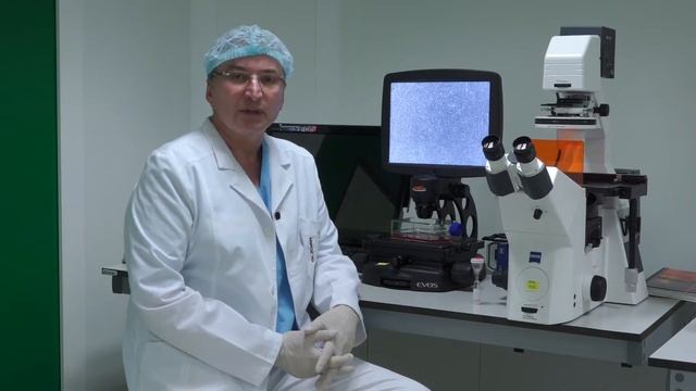 Форум смотреть онлайн