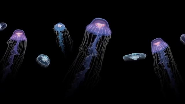 Vídeo 4k Teste de Tela Super Amoled смотреть онлайн