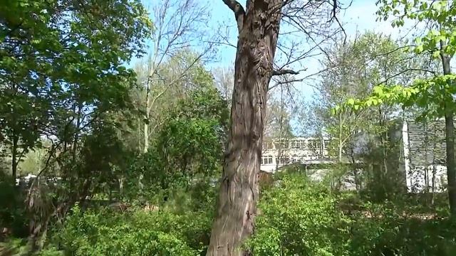 Sony dsc-hx300 test video 50x Zoom Review [HD] смотреть онлайн