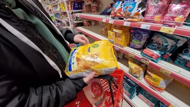 Покупки для ремонта в доме смотреть онлайн