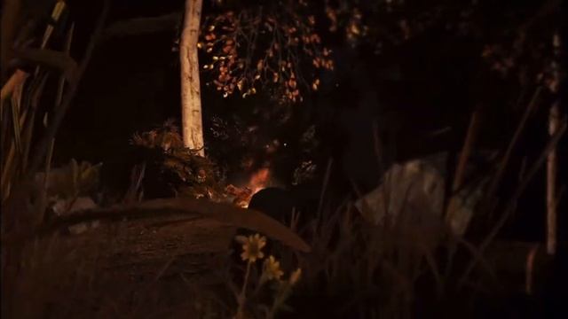 Грабли - песня со стрима ForestDUMP