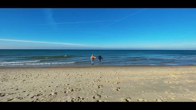 КУРШСКАЯ КОСА | природный парк из списка ЮНЕСКО. ЗЕЛЕНОГРАДСК | уютный кошачий город-курорт смотреть онлайн