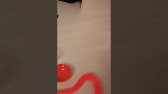 Смешной червечёк байл😄😻💋❤ смотреть онлайн