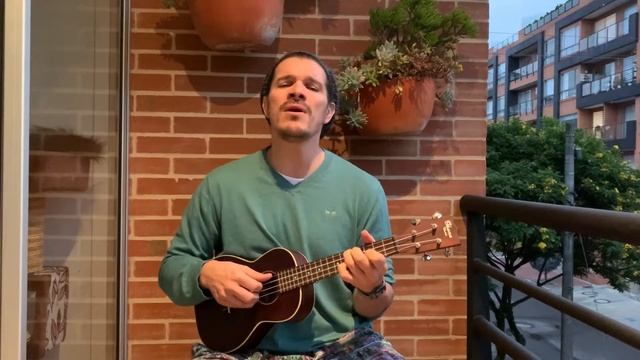 Bachata Rosa - Juan Luis Guerra Ukulele Cover смотреть онлайн