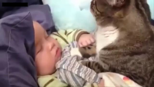 Кошка играет с ребёнком. Кошки заботятся о человеческих детях как о своих. смотреть онлайн
