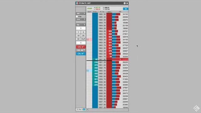 TT® Platform's MD Trader® - Static Price Ladder DOM with Single-click order entry смотреть онлайн