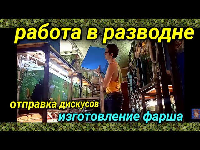 Отправка. Фарш. Работы в разводне смотреть онлайн
