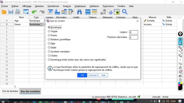 Apprendre le logiciel SPSS . Séance 1 : Comment créer des variables? #SPSS#spss_pasw#spss28 смотреть онлайн