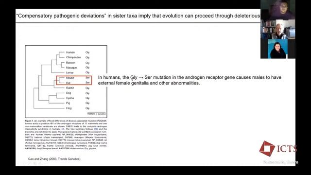 Evolution as a Population-Genetic Process (Lecture 2) by Michael Lynch смотреть онлайн