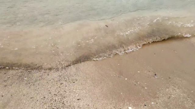 штормовой ветер а на море штиль погода в феврале в Феодосии смотреть онлайн