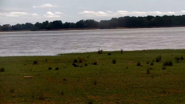 5 особенностей поведения мужчины, если он не испытывает никаких чувств к девушке смотреть онлайн