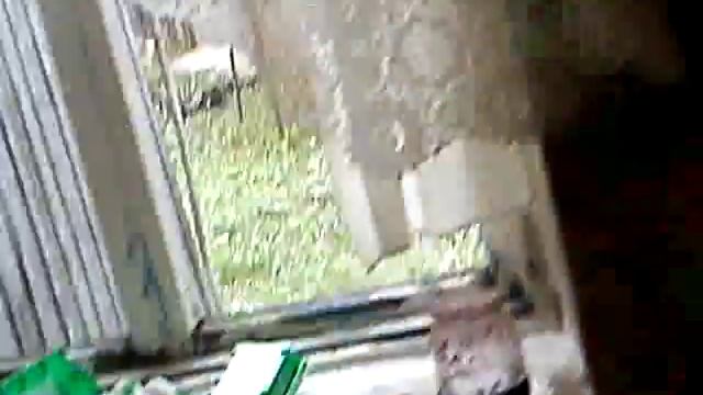 Кальций для улиток ахатин. Где взять смотреть онлайн