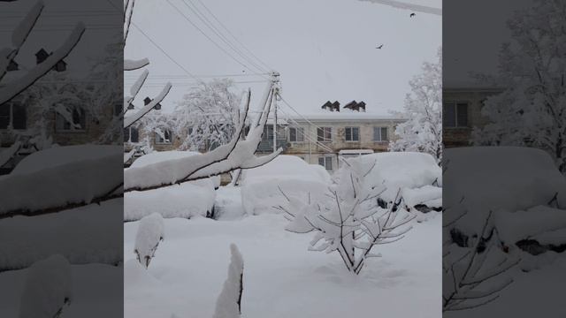 Зима 2022 в Краснодаре Атлантический циклон над югом России смотреть онлайн