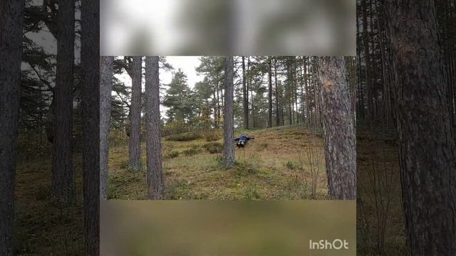 Павлов Игорь СПб Осенняя сказка в Солнечном смотреть онлайн