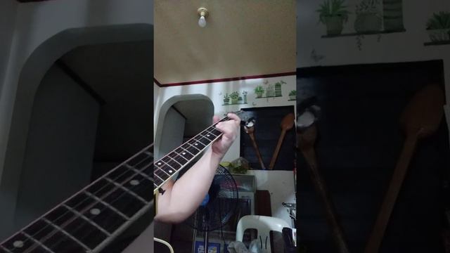CRAZY LITTLE THING CALLED LOVE ( chords tutorial)♥️😅🙏 смотреть онлайн