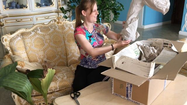 Орхидея Ангулоа Посылка с новыми орхидеями. Адаптация после транспортировки смотреть онлайн