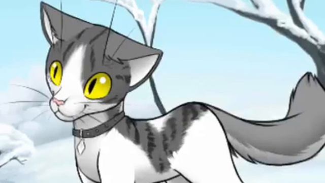 я делаю сам это лол смотреть онлайн