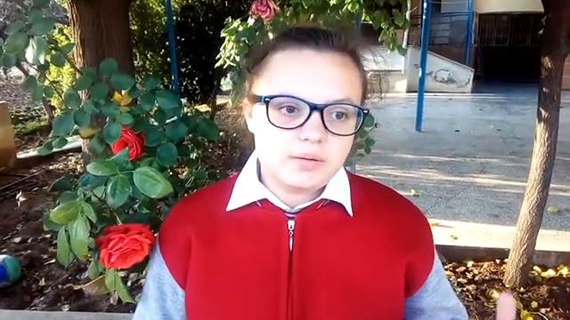 Оценки в турецкой школе//Результаты контрольных, Турция Хатай смотреть онлайн