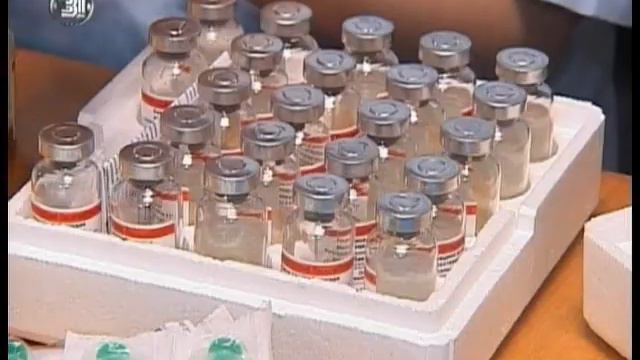 Бешенство в городе. Челябинцы массово прививают домашних питомцев смотреть онлайн