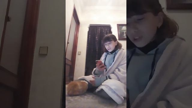 что можно и что нельзя есть морским свинкам!! смотреть онлайн