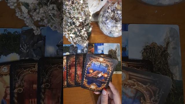 ЧЕМ ЭТОТ ГАДЁНЫШЬ ЗАНЯТ СЕГОДНЯ? ДЕНЬ ИЗ ЕГО ЖИЗНИ. смотреть онлайн