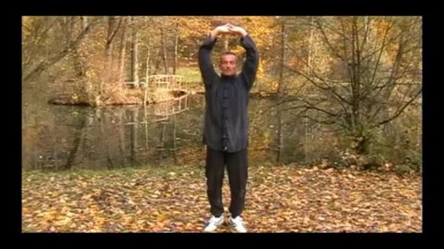 Die acht Brokatübungen von Ludwig Walter Teil 1 смотреть онлайн