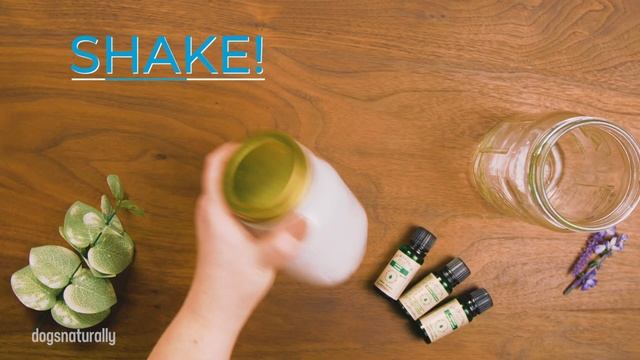 DIY Dog Shampoo: Wash your dog at home! смотреть онлайн
