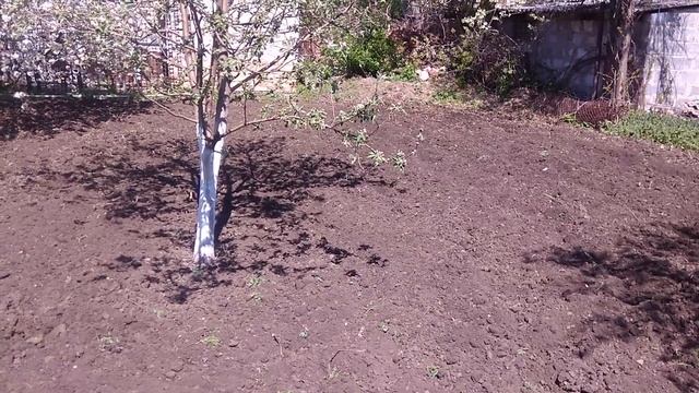 культивация небольшого участка земли мотоблоком посадка тыквы смотреть онлайн