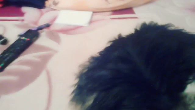 Купили йорка