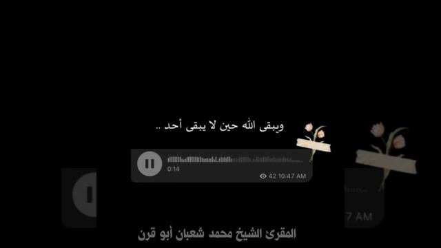 سورة التكاثر برواية الدوري عن الكسائي بصوت الشيخ محمد شعبان أبو قرن #مقاطع_دعوية #واتساب #سناب смотреть онлайн