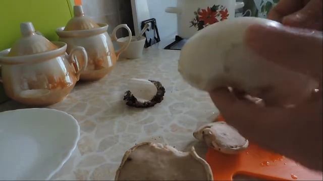 Piptoporus betulinus. Применяется также и для похудения. Сушка. смотреть онлайн