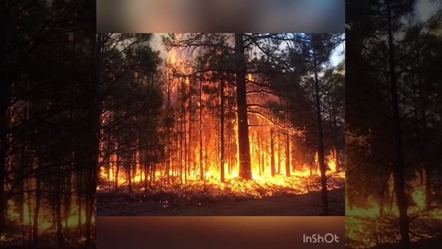 Урок для воскресной школы: "Следи за своими словами" смотреть онлайн